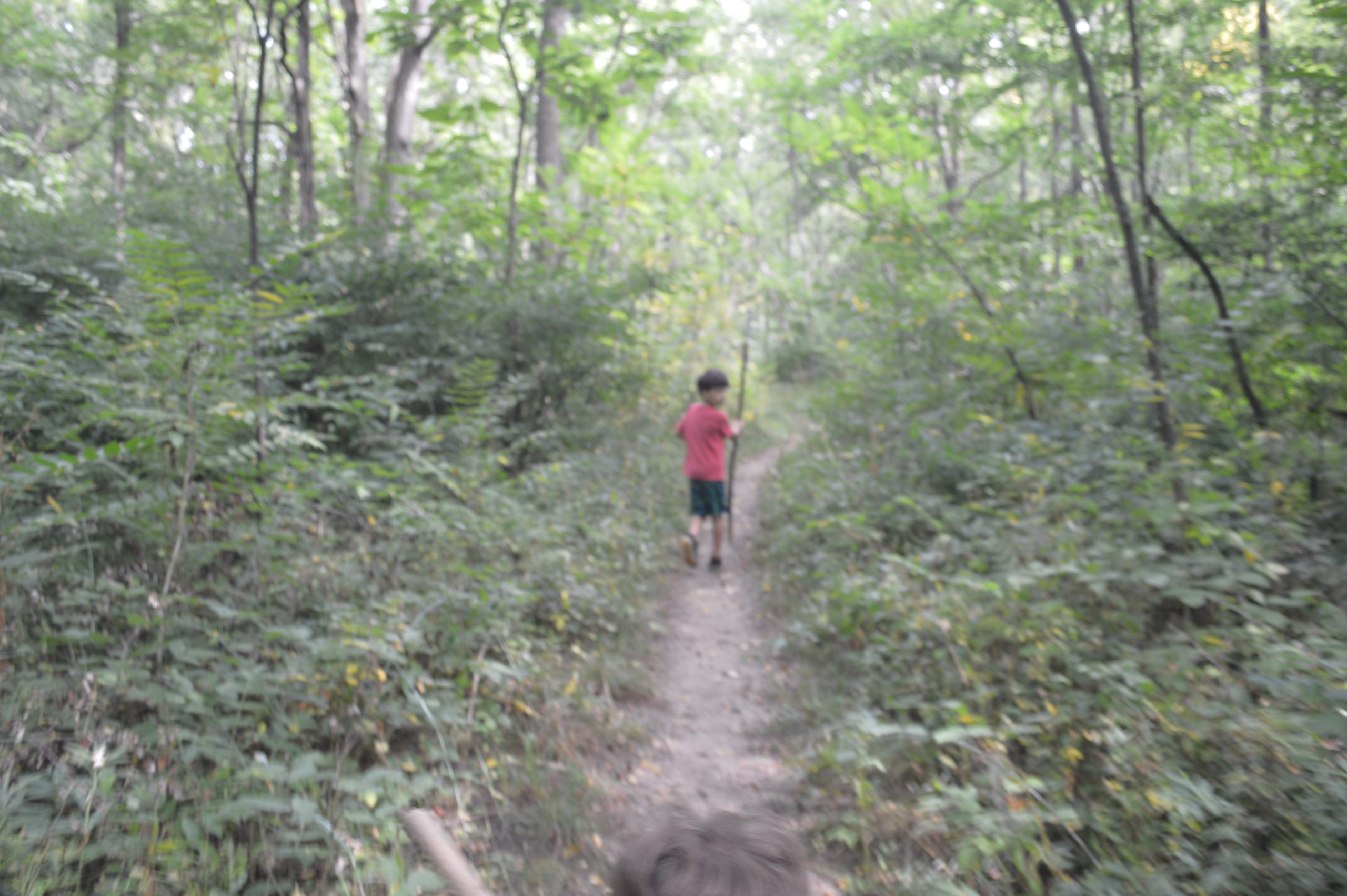 Long Lake Trail, Yankee Springs Recreational Area near Middleville