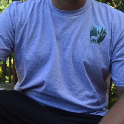 Buck in the Forest