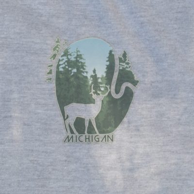 Buck in the Forest