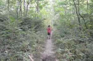 Read more about the article Long Lake Trail, Yankee Springs Recreational Area near Middleville, Michigan