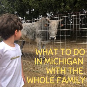 Read more about the article What To Do In Michigan With The Whole Family
