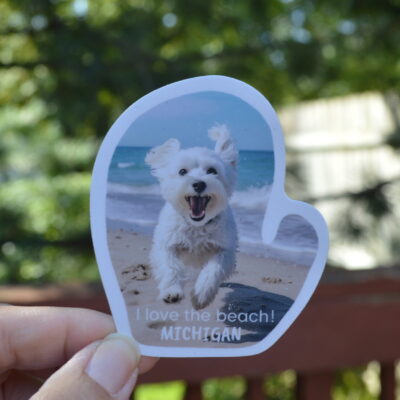 Decal “I am a born MICHGANDER”