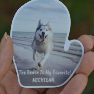 Decal of Husky at the Lake Michigan Beach